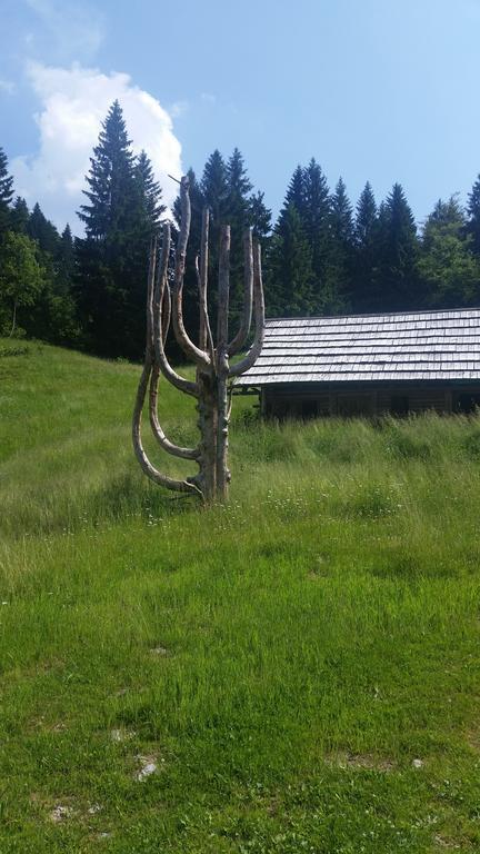 Brunarica Bled Zatrnik Pokljuka Luaran gambar