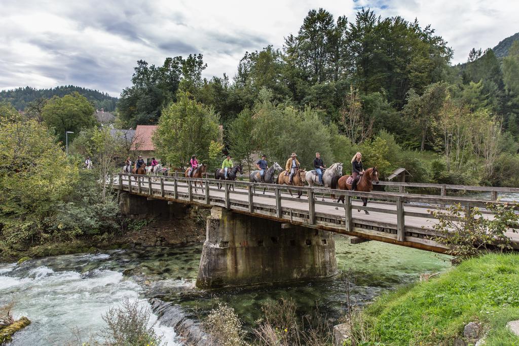 Brunarica Bled Zatrnik Pokljuka Luaran gambar